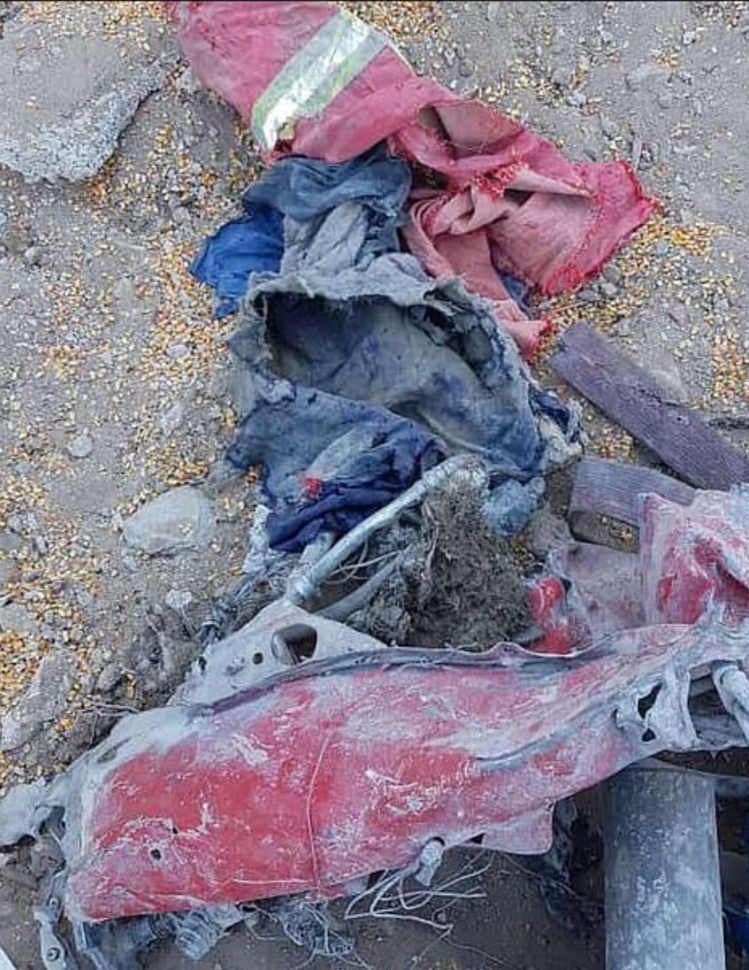 视觉志|黎巴嫩爆炸后，朋友圈都在聊这个高危群体。