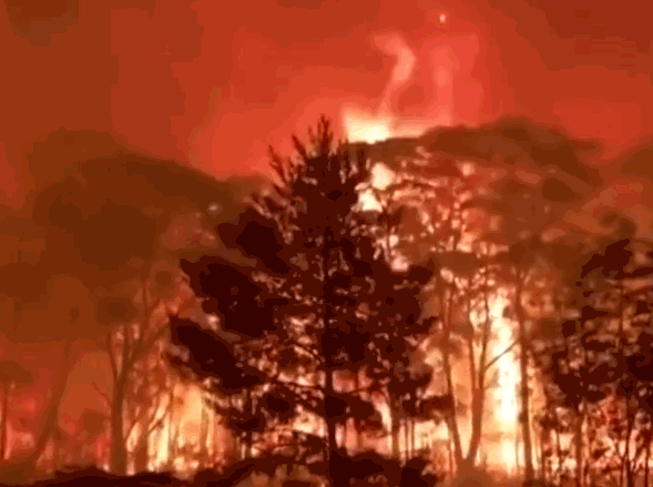 视觉志|黎巴嫩爆炸后，朋友圈都在聊这个高危群体。