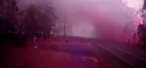 视觉志|黎巴嫩爆炸后，朋友圈都在聊这个高危群体。