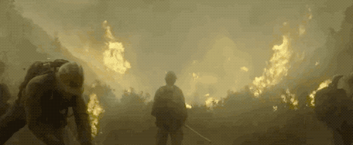 视觉志|黎巴嫩爆炸后，朋友圈都在聊这个高危群体。