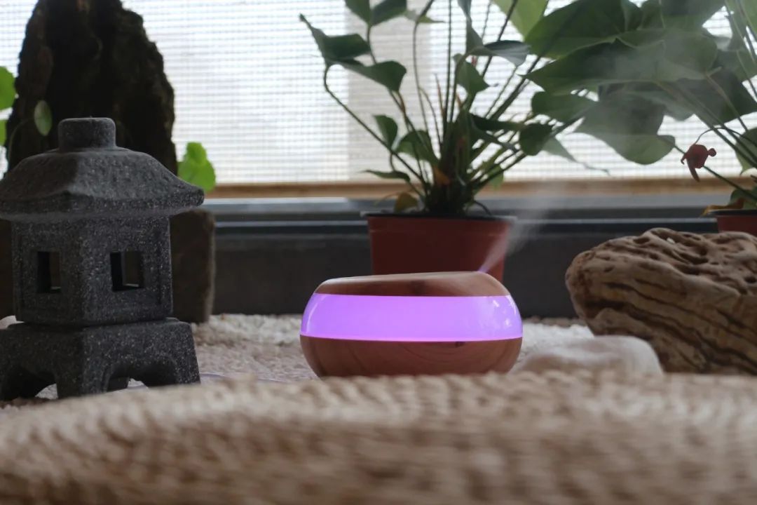 加湿器|小心加湿器，趁着夏天搞事情！