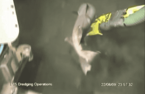 张力|让潜水员闻风丧胆的物理现象，杀死了三分之二的殉职潜水员