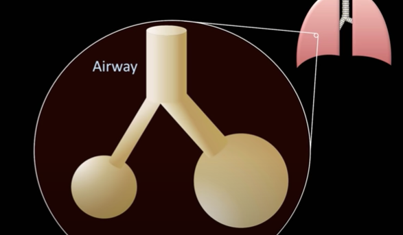 张力|让潜水员闻风丧胆的物理现象，杀死了三分之二的殉职潜水员