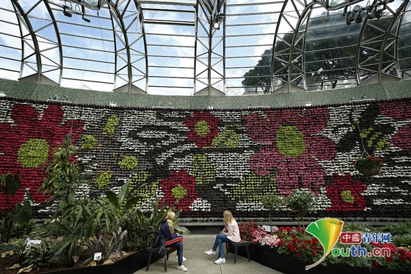 悉尼皇家植物园重新开放室内花墙吸引游客 人民号