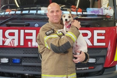 中国青年网|消防员大火中救下狗狗暖心收养