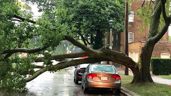 美国州|美国中西部地区遭罕见风暴袭击 至少2人死亡