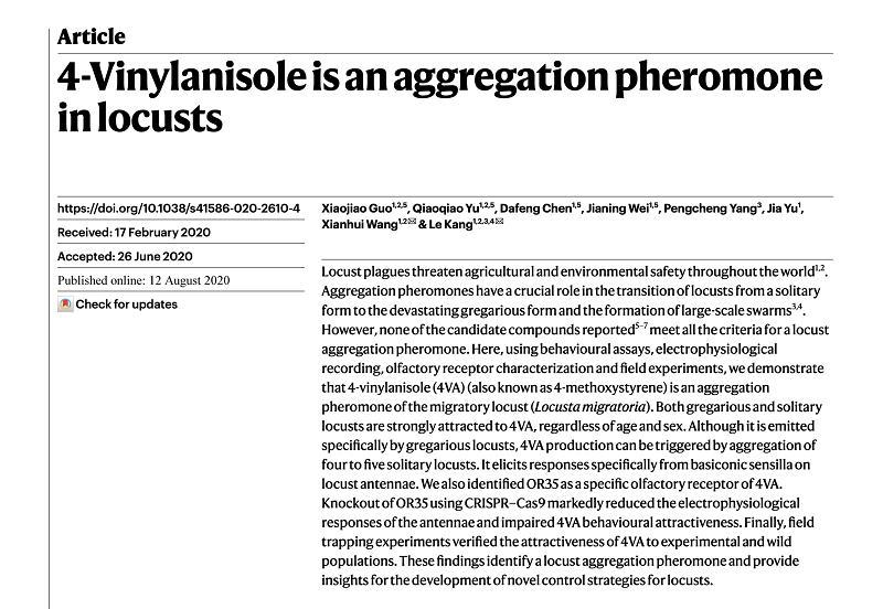 蝗虫|蝗虫为啥总聚堆？我国科学家最新研究揭示原因