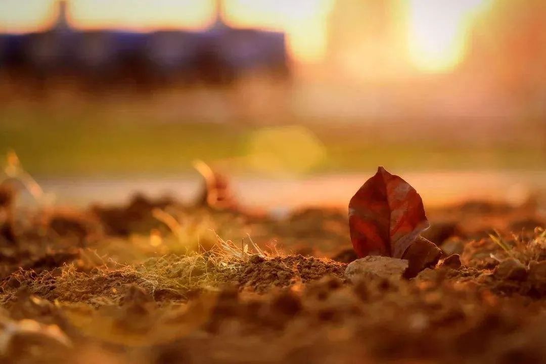 养生|立秋后暑热仍在，这时不注意易生5种病！养生须记这个字！