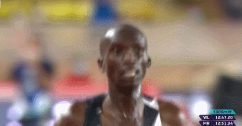 马拉松世界纪录|刷新尘封16年的世界纪录，来看看切普特盖多快多神奇