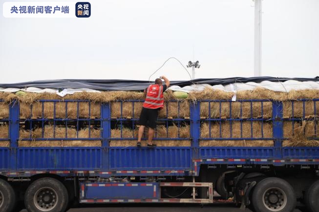 蔬菜|市场免费用，商户搞特价，那个熟悉的新发地诚意满满地回来了！