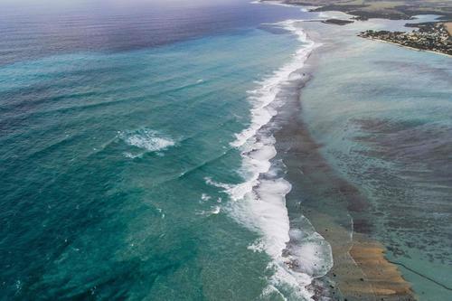 紧急状态|至少1000吨燃油已泄漏！日本货船在毛里求斯近海搁浅造成大量燃油泄漏，引发“环境紧急状态”