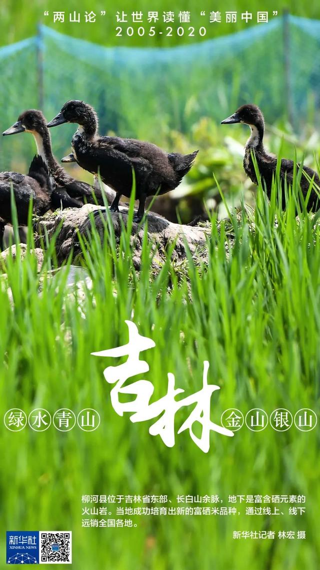 银山|收藏！这些地方的“金山银山”