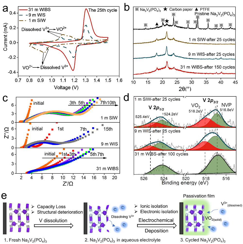 科学|进展 | Water-in-salt电解液“界面限域”抑制电极材料溶解机制