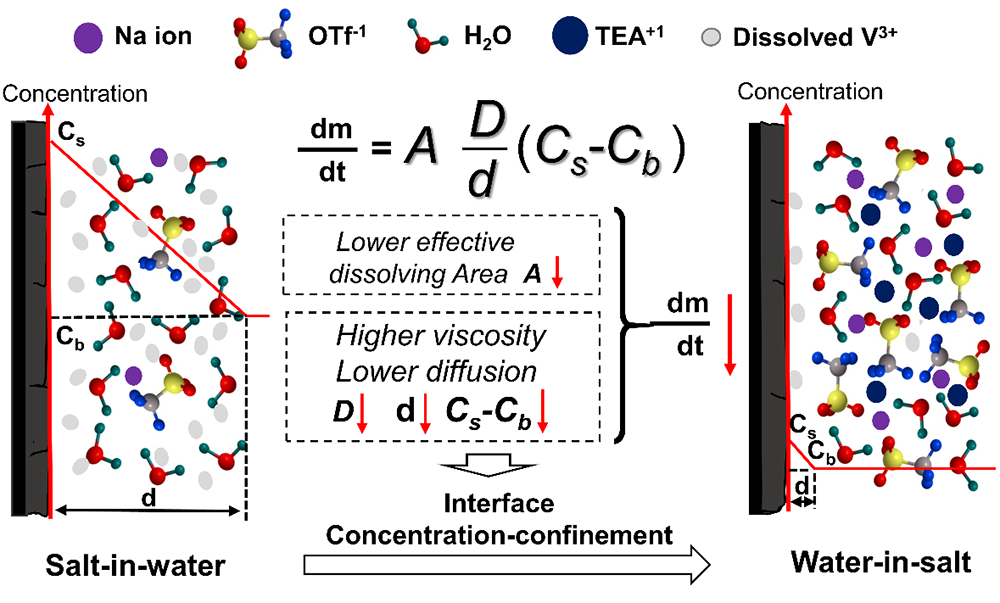 科学|进展 | Water-in-salt电解液“界面限域”抑制电极材料溶解机制