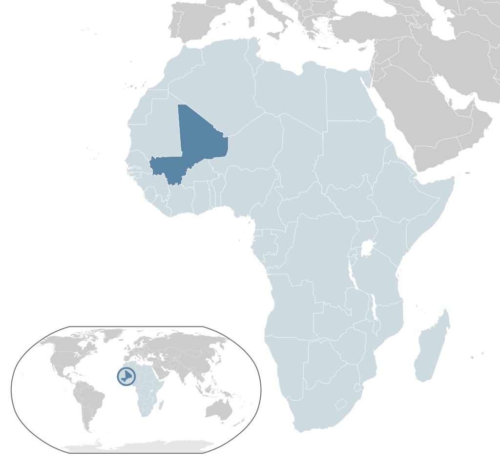 非洲观察丨马里发生兵变总统总理被拘押