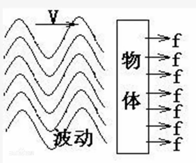 科学|站在树荫下不仅能乘凉，还可以减重！