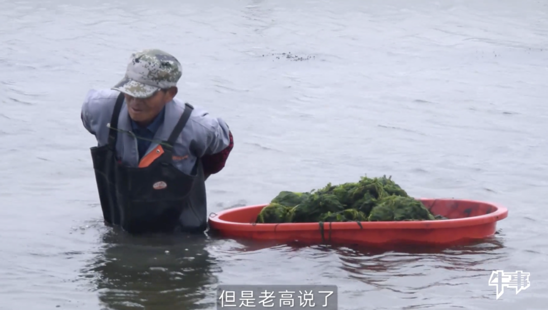 视觉志|朋友圈高赞：为什么总有人非要在乎那几块钱？