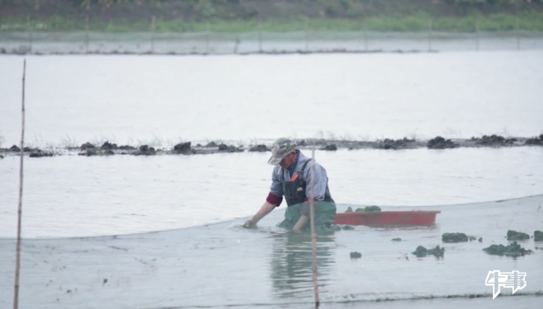 视觉志|朋友圈高赞：为什么总有人非要在乎那几块钱？