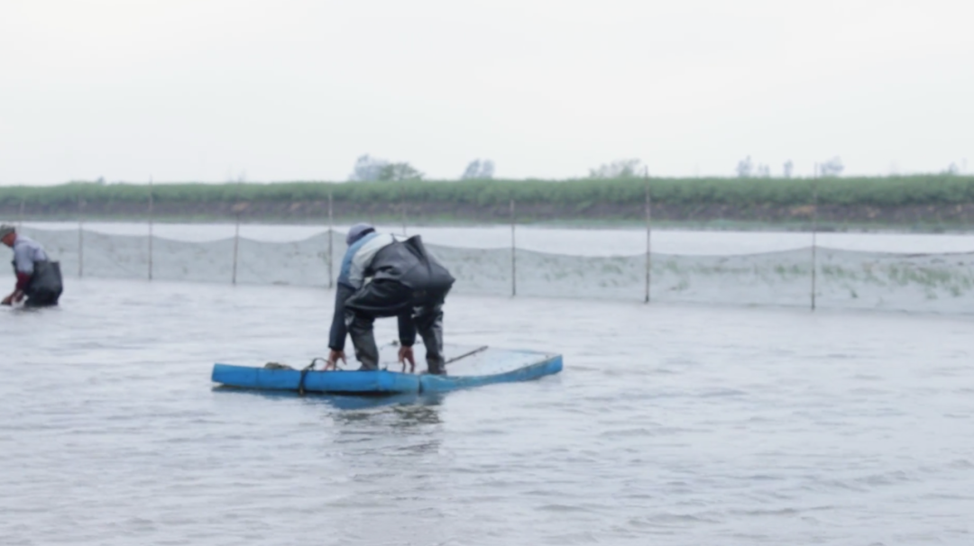 视觉志|朋友圈高赞：为什么总有人非要在乎那几块钱？