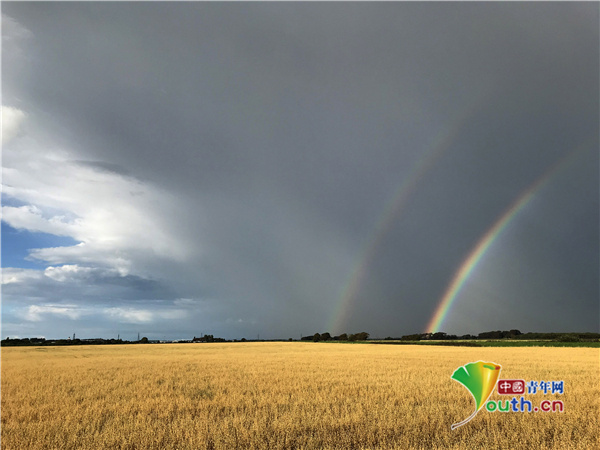 中国青年网|英国塞夫顿雨后现奇景 田野上空挂双彩虹