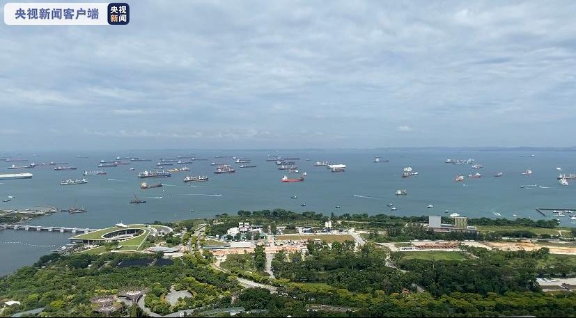央视新闻客户端|新加坡今年第二季度国内批发贸易指数同比下跌40.6%
