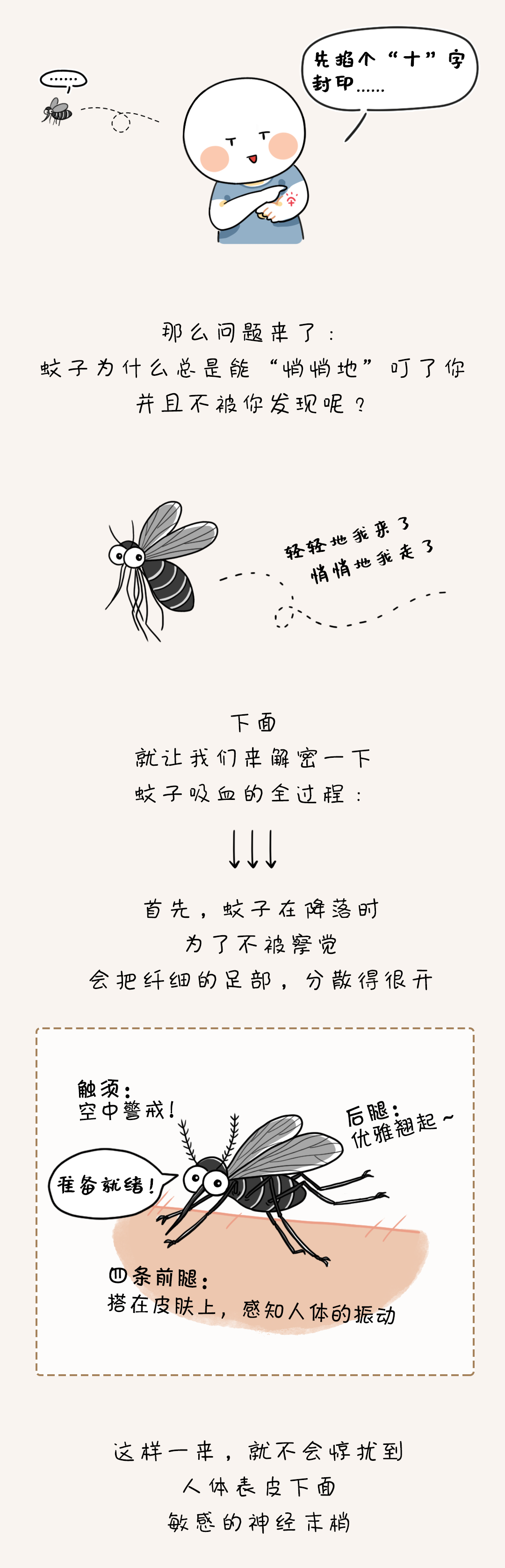 疟疾|蚊子为什么总能悄悄叮到你？原来……
