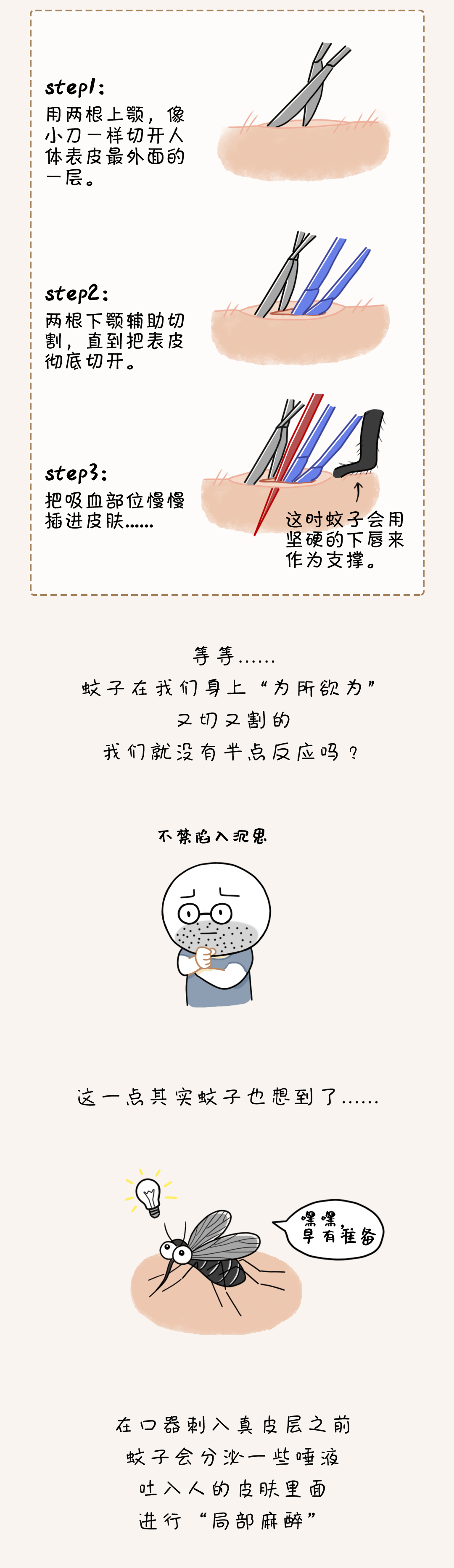 疟疾|蚊子为什么总能悄悄叮到你？原来……