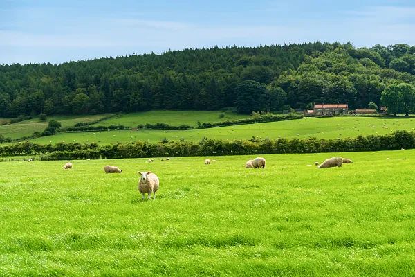 澳洲葡萄酒|澳农民呼吁政府“培育”对华关系