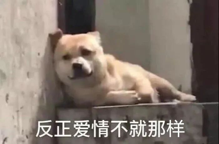 毒品|七夕情人节即将到来,秀恩爱的时候可千万要注意...