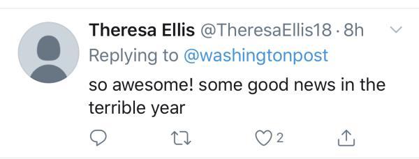 光明网|旅美大熊猫成功产崽