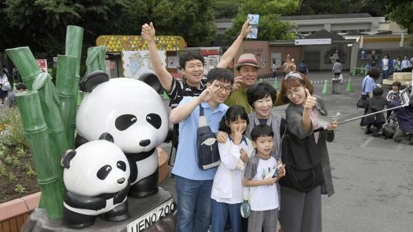 光明网|旅美大熊猫成功产崽