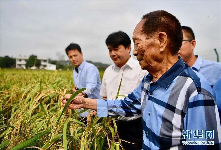 袁隆平|今天是袁隆平90岁生日！他昨天做了一件事，网友：可可爱爱！