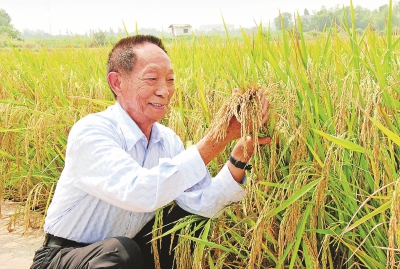 袁隆平|今天是袁隆平的90岁农历生日，他曾说“不能躺在功勋簿上睡大觉”
