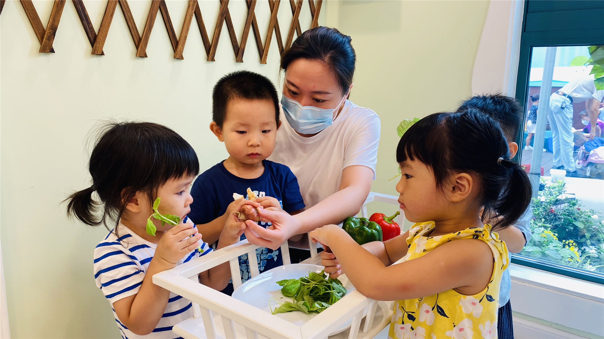 文汇报|节约理念融入幼儿食育！让孩子摸摸食材种种菜，在实践中感受一粒米的“乘风破浪”