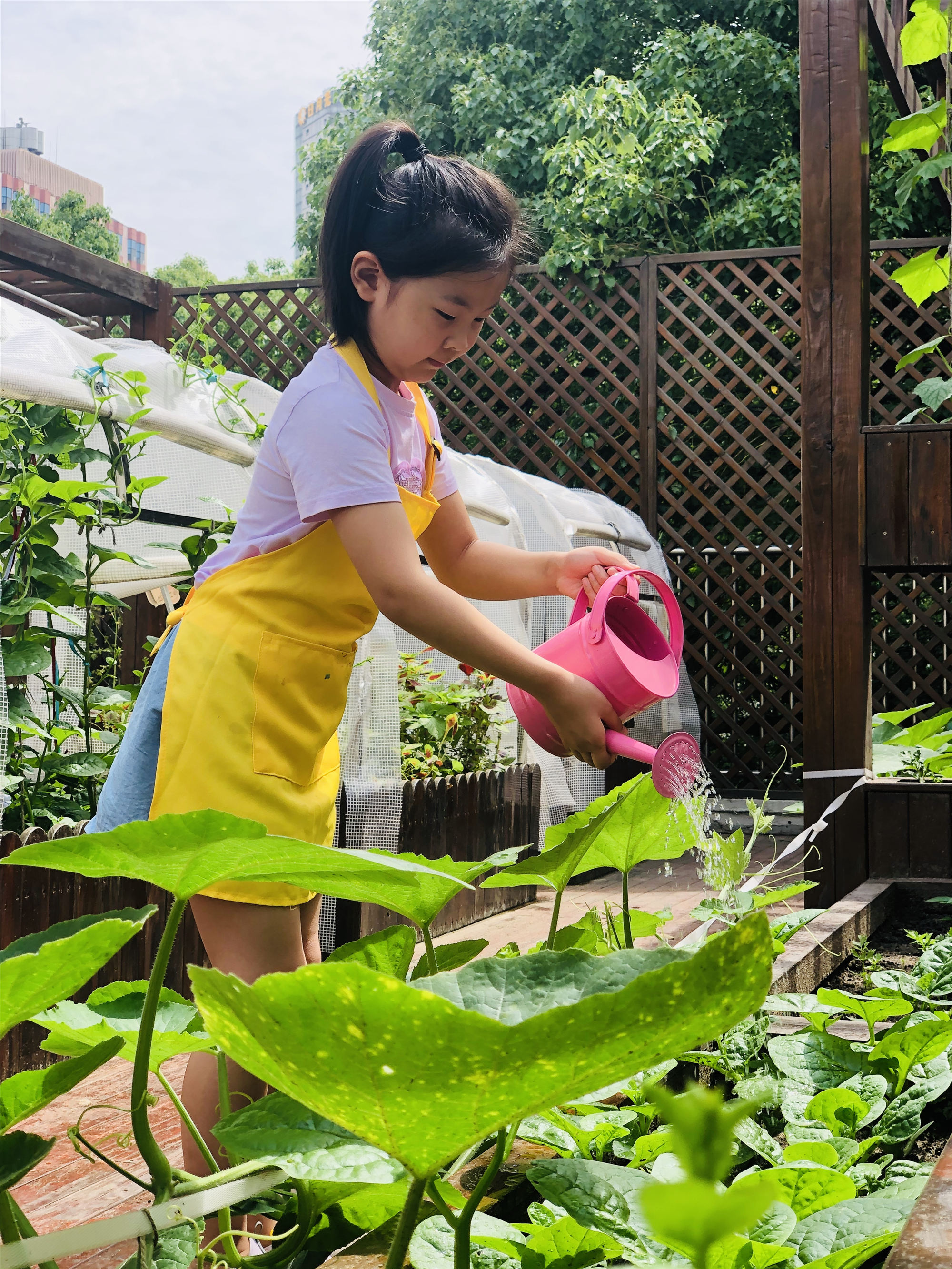 文汇报|节约理念融入幼儿食育！让孩子摸摸食材种种菜，在实践中感受一粒米的“乘风破浪”