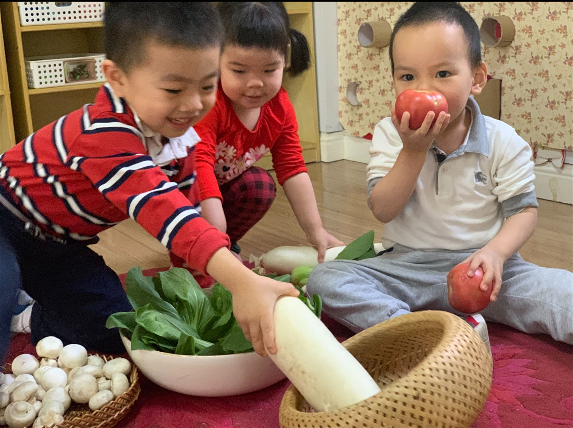 文汇报|节约理念融入幼儿食育！让孩子摸摸食材种种菜，在实践中感受一粒米的“乘风破浪”
