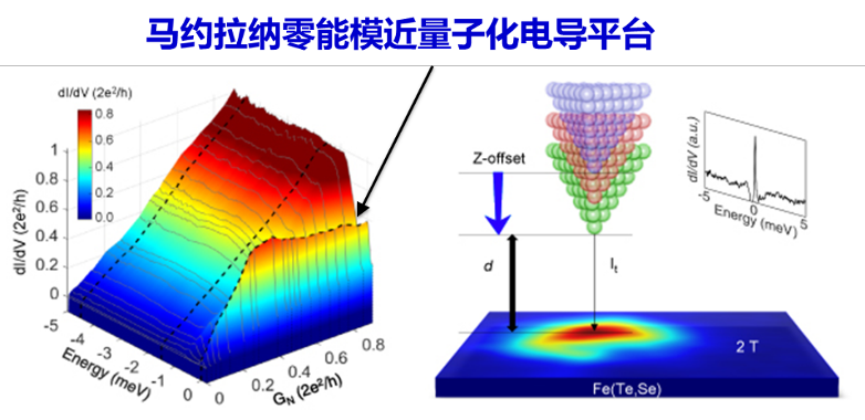 费米子|首次在铁基超导块体中发现马约拉纳任意子丨物理所入选“率先行动”第一阶段成果进展