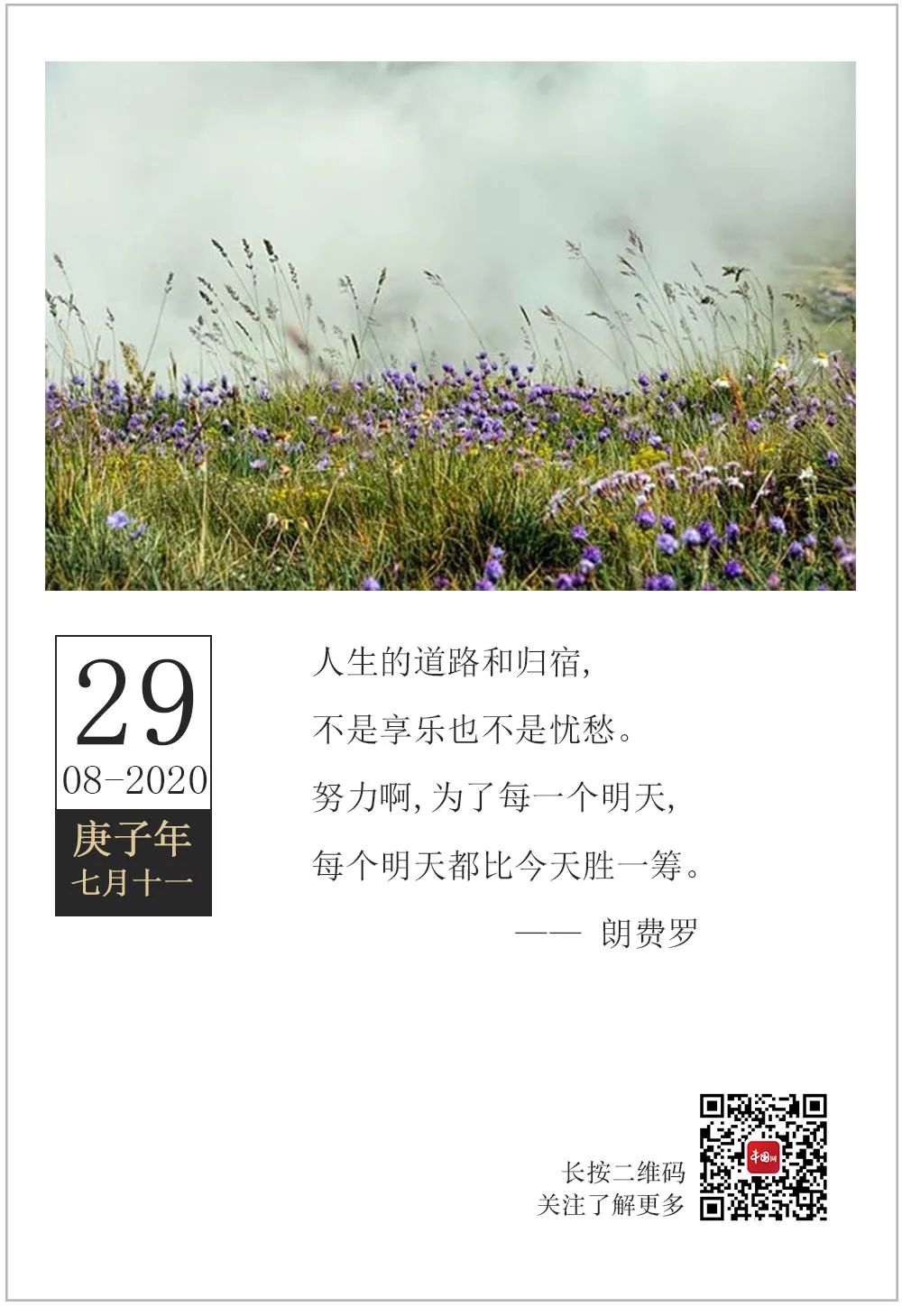 国际|『2020.08.29』轻松早茶