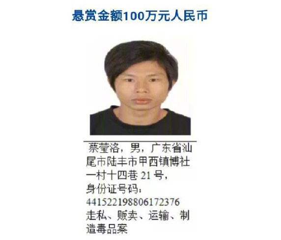 国际|『2020.08.29』轻松早茶