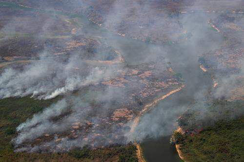 湿地|全球最大湿地遭遇创纪录火灾,巴西潘塔纳尔湿地濒危物种面临生存威胁