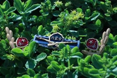 退伍|退伍季丨老兵与新兵的对话