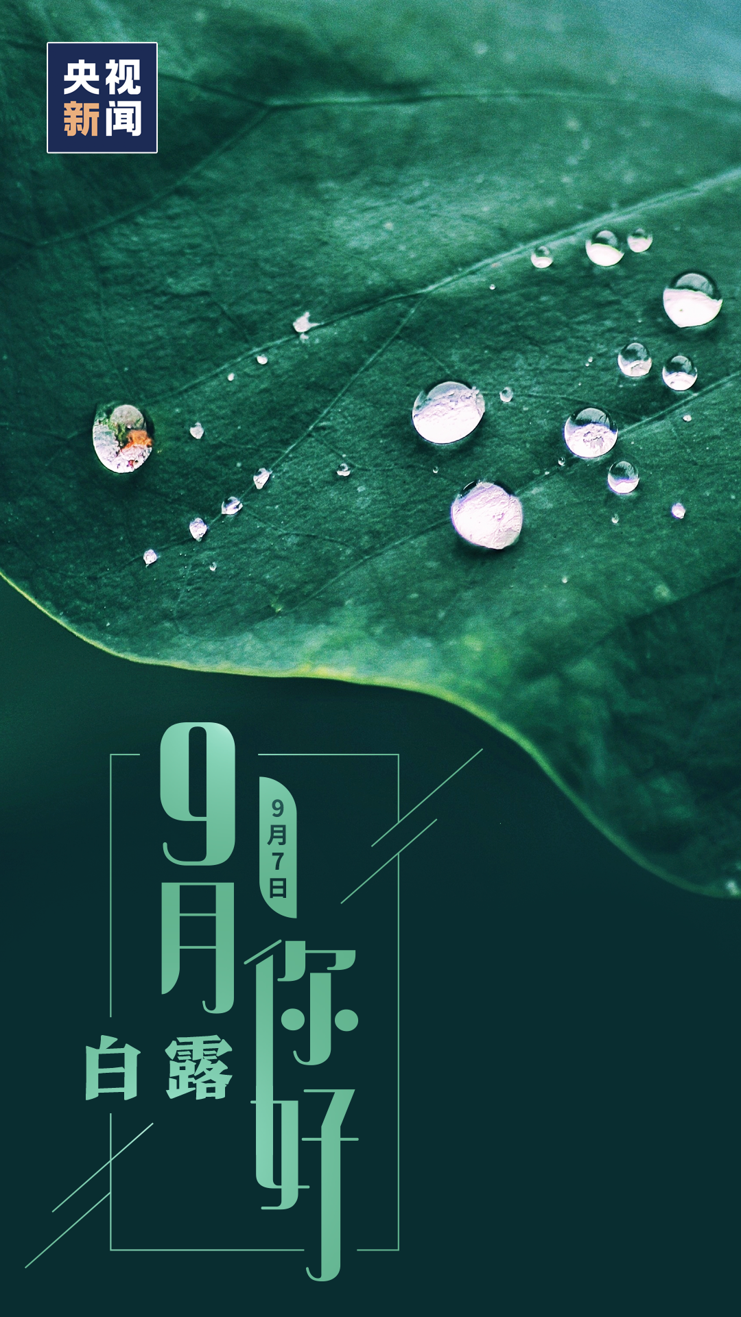|9月，你好！