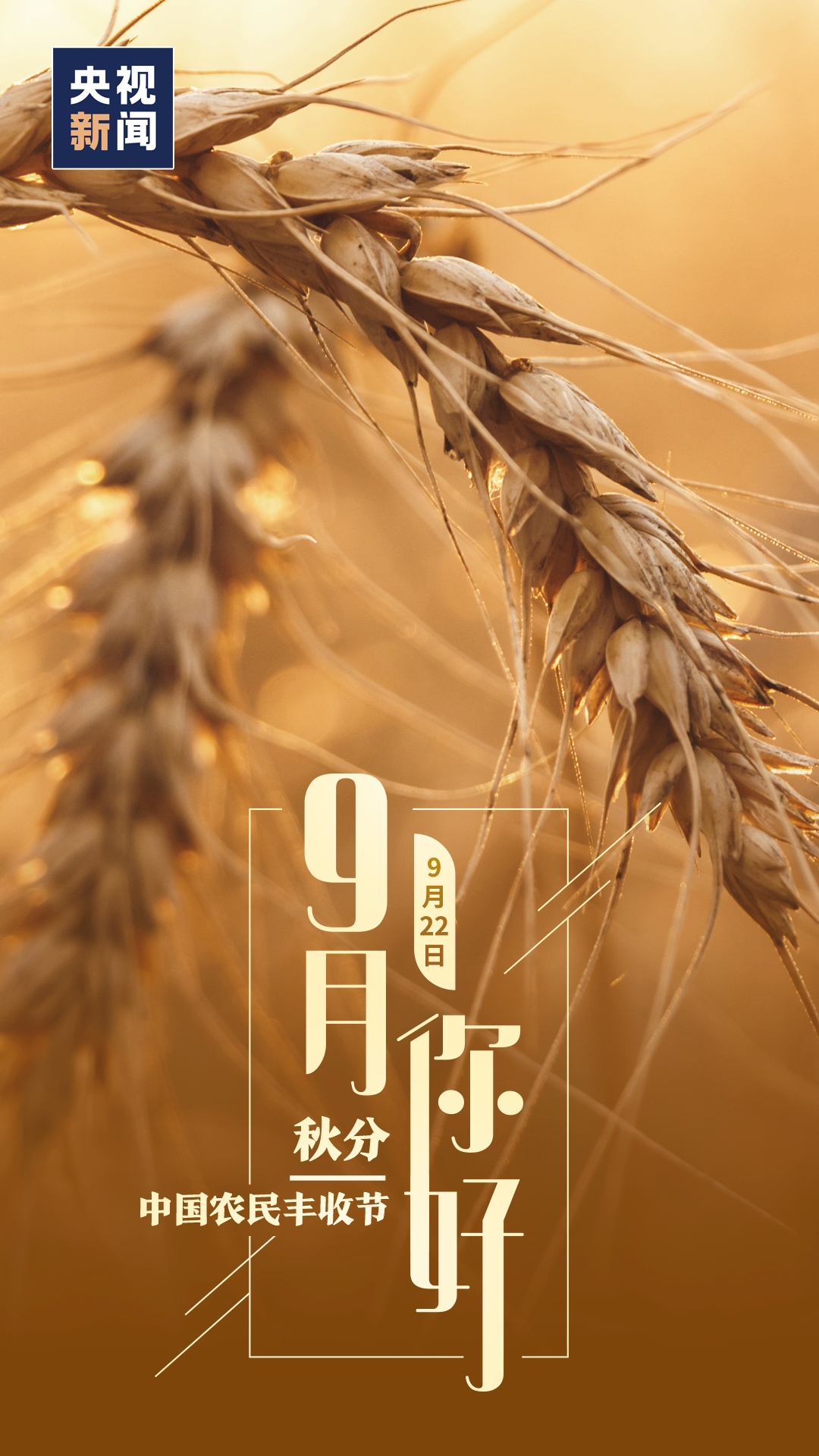 |9月，你好！