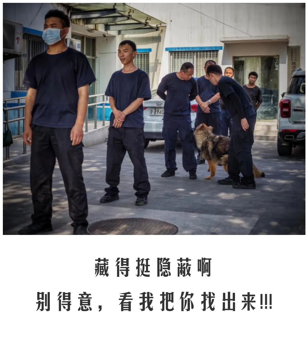 北京公交|公交警犬的“自白”