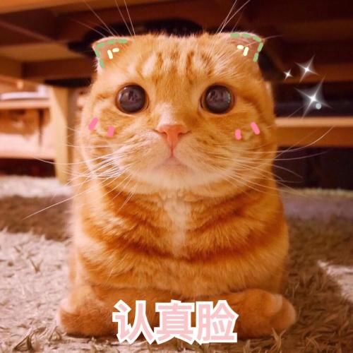 北京居住证办理条件|知识贴：居住证和登记卡，有啥不一样？