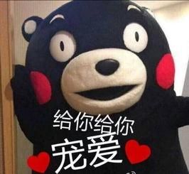 北京居住证办理条件|知识贴：居住证和登记卡，有啥不一样？