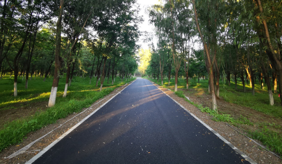 绿道|运动、赏景好去处！延庆蔡家河地区33公里绿道本月完工