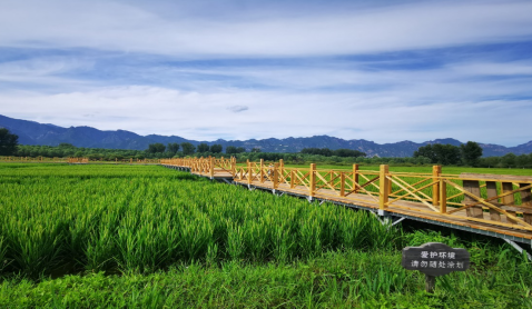 绿道|运动、赏景好去处！延庆蔡家河地区33公里绿道本月完工