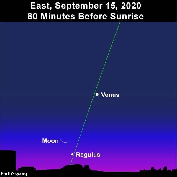 金星|请订好您的闹钟，本月中旬，夜空将发生金星伴月天文景观