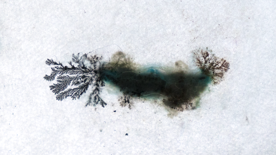 科技|如何成为一名“芳心纵火犯”? |正经玩